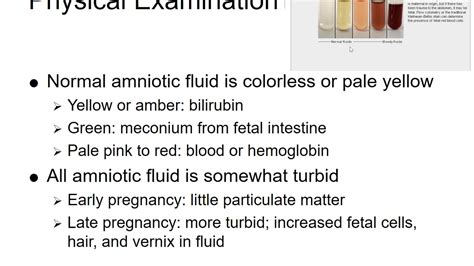 Fern Test: Amniotic Fluid Analysis in 6000 Words