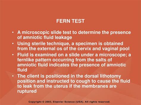 Fern Test for Amniotic Fluid: A 5-Minute Guide to Interpretation and Clinical Significance