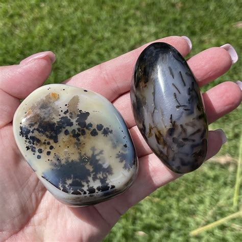 Fern agate: