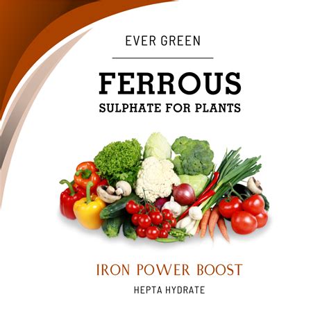 Ferrous Sulphate Fertilizer: A Comprehensive Guide to Boosting Crop Yields