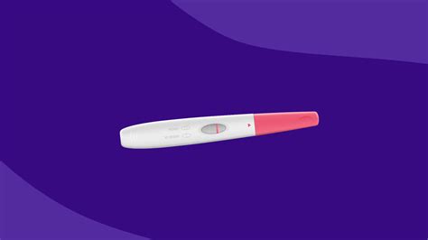 Fertility PDF