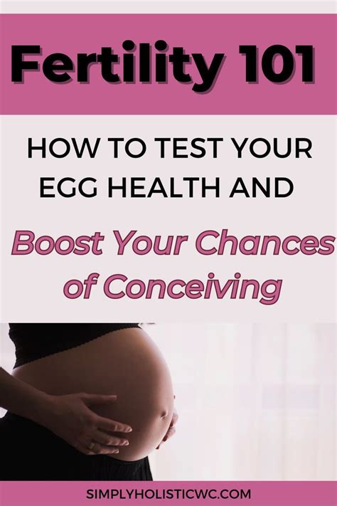 Fertility 101: A Comprehensive Guide to Boosting Your Chances of Conceiving