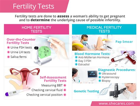 Fertility Evaluation: