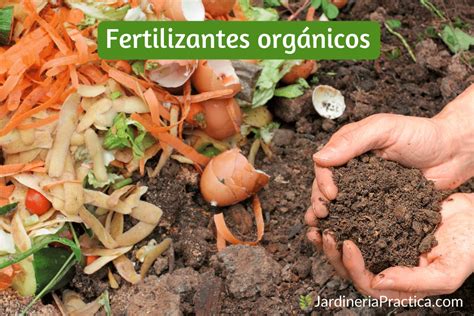 Fertilizantes orgánicos: