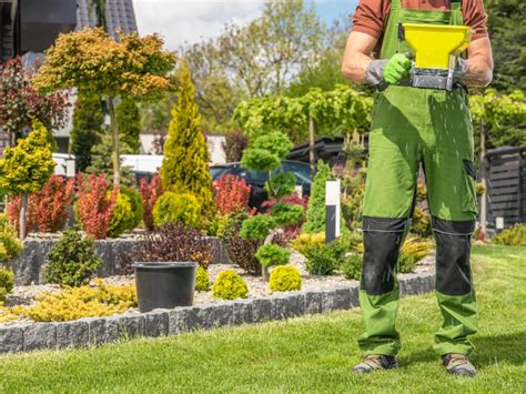 Fertilization Companies Near Me: Your Guide to a Thriving Landscape