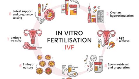 Fertilization Near Me: A Comprehensive Guide to Your Options