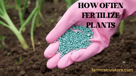 Fertilize