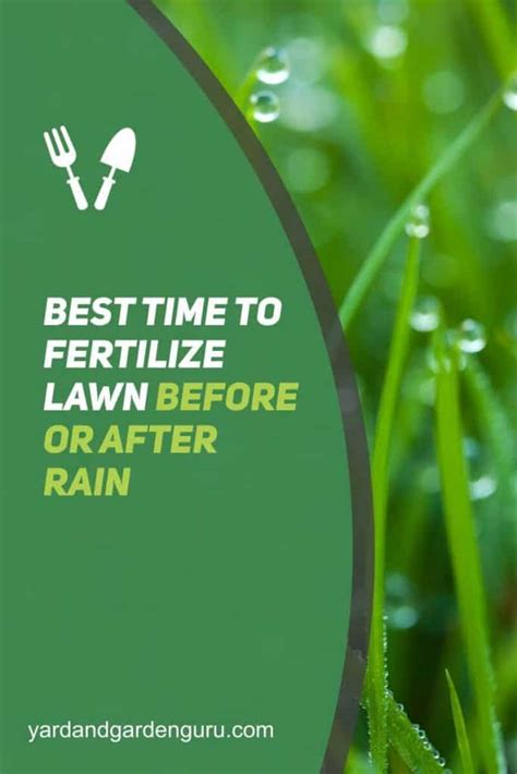 Fertilize 14 Days Before or 3 Days After Rain