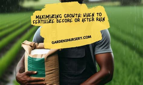 Fertilize Before Rain: 10+ Ways to Maximize Plant Growth