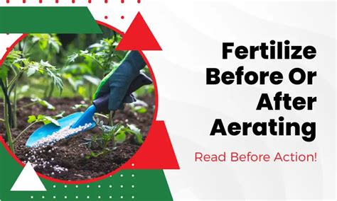 Fertilize Before or After Aeration: The 10,000-Character Comprehensive Guide