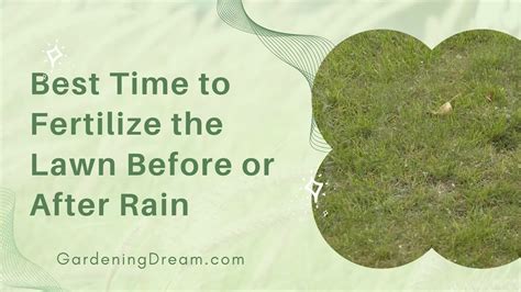 Fertilize Before the Rain: 7 Reasons to Boost Your Crops