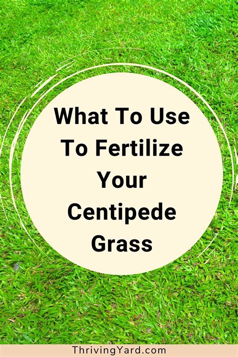 Fertilize Centipede Grass: A Comprehensive Guide to Nourishing Your Lawn