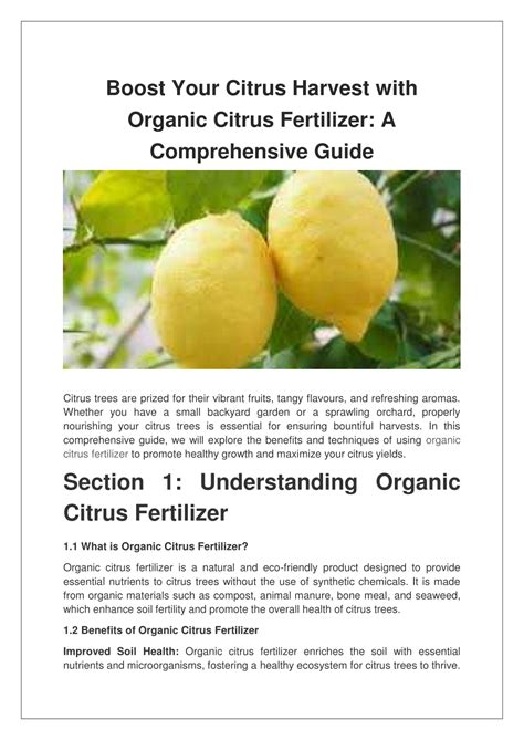 Fertilize Citrus Trees: A Comprehensive Guide for Bountiful Harvests