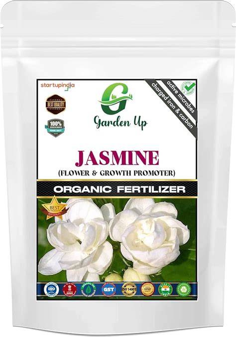 Fertilize Jasmine: The Ultimate Guide