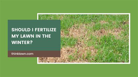 Fertilize Lawn in Winter: 5 Key Reasons to Do It