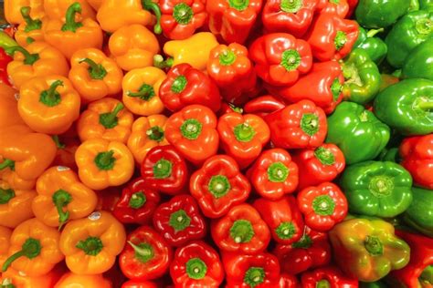 Fertilize Peppers 101: A Comprehensive Guide to Maximizing Crop Yield