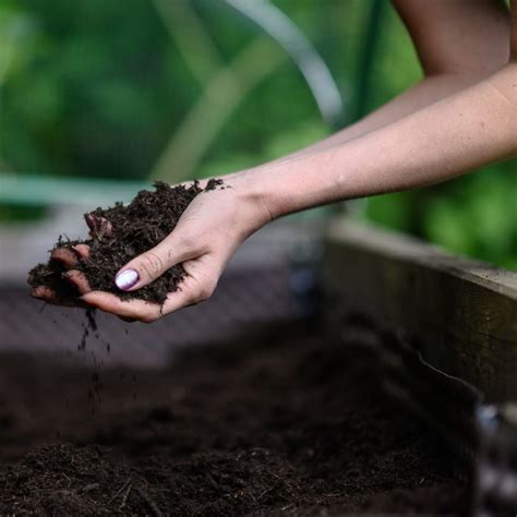 Fertilize Raised Beds: 101 Tips, Tricks, and Techniques