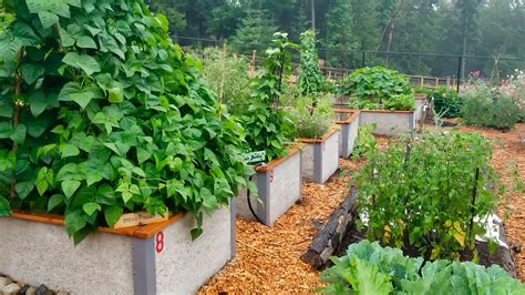 Fertilize Raised Beds to Maximize Yields