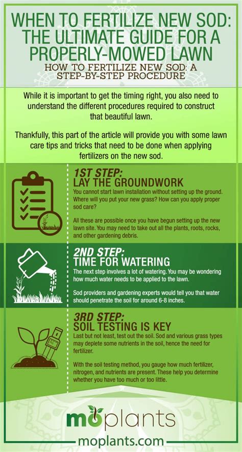 Fertilize Sod: The Ultimate 5-Step Guide