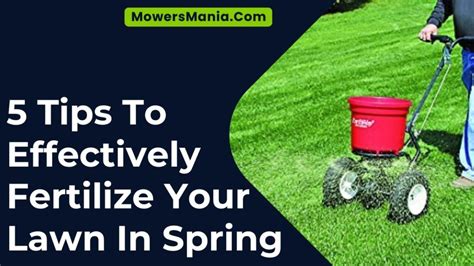 Fertilize Your Lawn in Spring for a Lush, Green Masterpiece