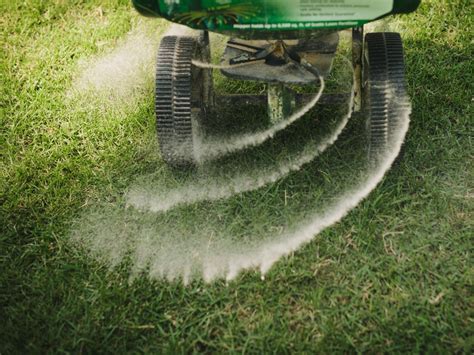 Fertilize Your New Lawn: The Ultimate 5-Step Guide