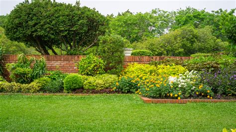 Fertilize Your Shrubs and Bushes the Right Way for a Thriving Landscape