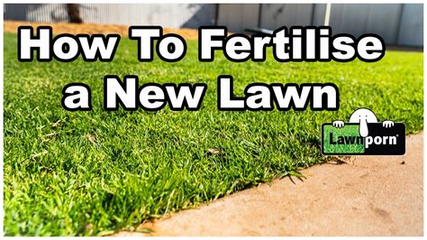 Fertilize for a Flourishing New Lawn: A Guide to Nurturing Seed to Success