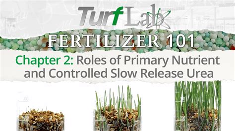 Fertilizer 101: What, When, and How