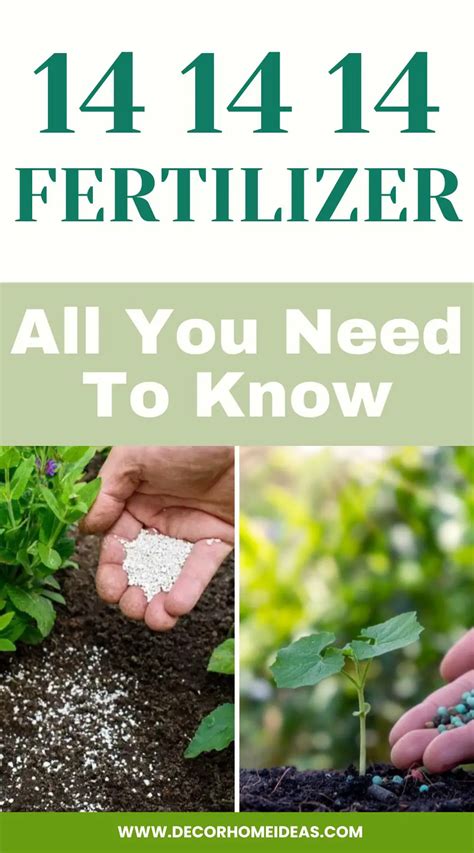 Fertilizer 14 14 14: A Comprehensive Guide