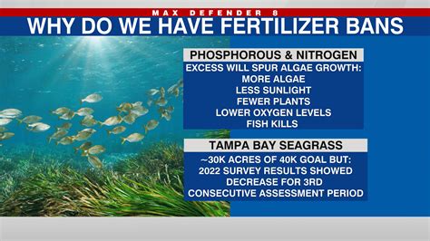 Fertilizer Ban: Melbourne, FL, Takes a Stand Against Water Pollution