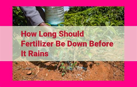 Fertilizer Before Rain: A Comprehensive Guide to Maximize Benefits and Minimize Risks