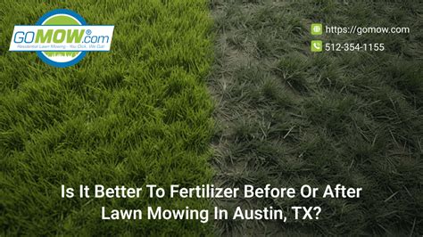 Fertilizer Before or After Mowing: 5 Essential Factors to Consider