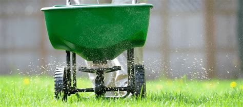 Fertilizer Before or After Mowing: A Comparative Guide for 8 Perfect Lawns