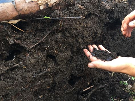 Fertilizer Compost Machine 101: A Comprehensive Guide to Turning Waste into Gold