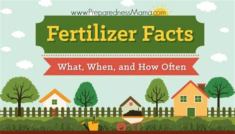 Fertilizer Fix: 10,000+ Character Guide to Maximizing Plant Health