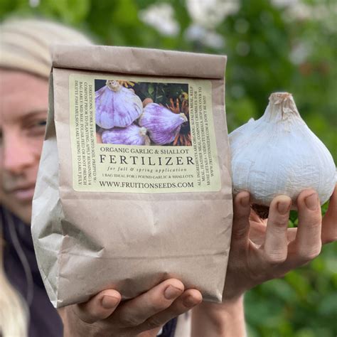 Fertilizer Garlic: 10 Supercharged Tips for Bigger, Bolder Bulbs