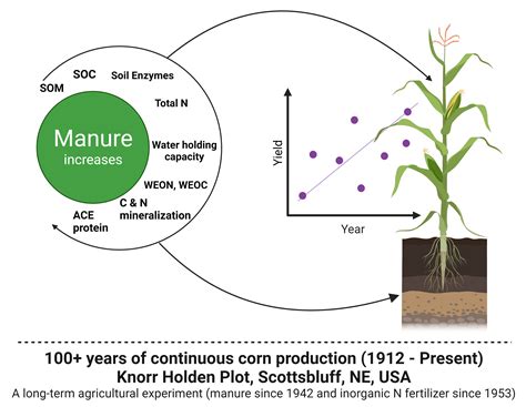 Fertilizer Granulator: The Ultimate Guide to Enhanced Crop Yield and Soil Health