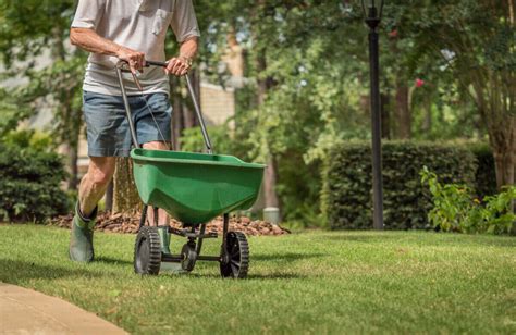 Fertilizer Grass 101: Enhance Your Lawn in 10 Easy Steps