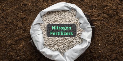 Fertilizer High Nitrogen: A Comprehensive Guide to Supercharge Your Crops