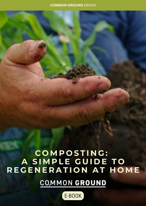 Fertilizer In Compost: The Ultimate Guide to 10,000 Composting Combinations