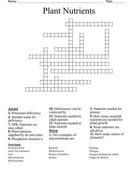 Fertilizer Ingredient Crossword Clue: 12 Essential Nutrients for Plant Growth