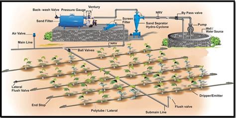 Fertilizer Injector for Drip Irrigation: The Ultimate Guide to Precision Farming