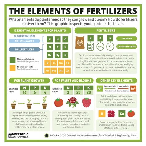 Fertilizer Label: 7 Essential Elements You Need to Know