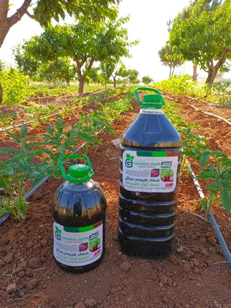 Fertilizer Lebanon: A Guide to Enhanced Crop Yields and Profitability