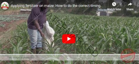 Fertilizer Machine: The Ultimate Guide to Boosting Your Crop Yields in 2023