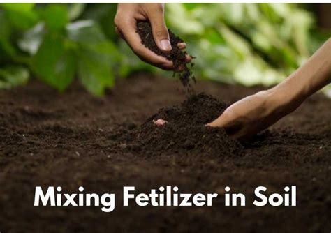 Fertilizer Mixer: The Ultimate Guide to Mixing Your Plant Nutrients