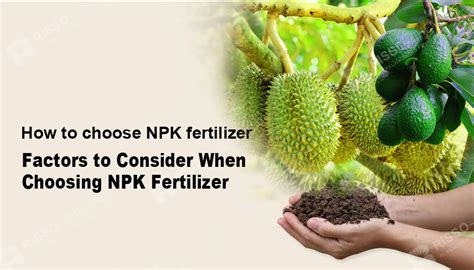 Fertilizer Mixer 301: A Comprehensive Guide to Fertilization Efficiency