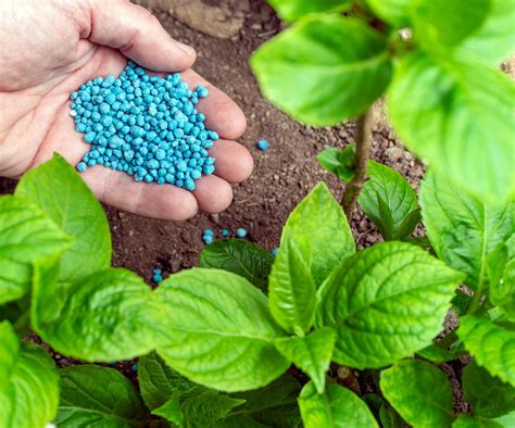 Fertilizer Plant Equipment: The Ultimate Guide to 7 Essential Types