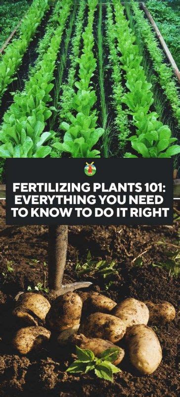 Fertilizer Plant Equipment 101: Everything You Need to Know