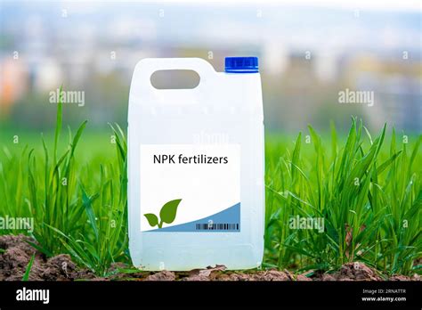 Fertilizer Potassium Nitrate NPK: The Essential Plant Nutrient